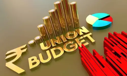 No sona, no chandi, aam aadmi roots for pocket-friendly budget