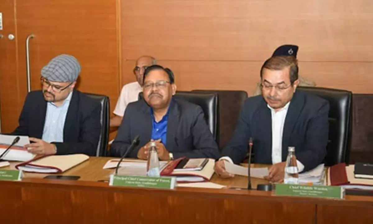 Gujarat: State Wildlife Board reviews conservation, eco-tourism plans Gujarat: State Wildlife Board reviews conservation, eco-tourism plans