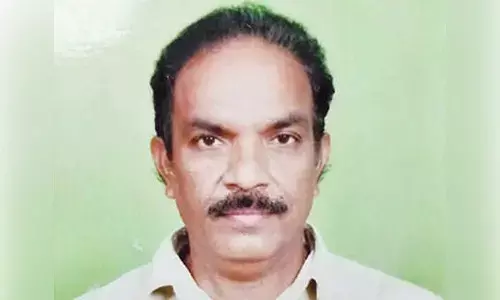 Measures must to avoid pest attacks in mango orchards