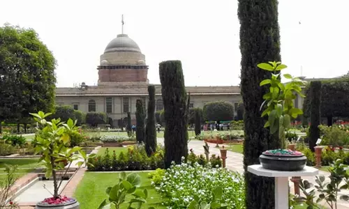 Amrit Udyan opens for public from February 3, QR codes introduced for identifying plants