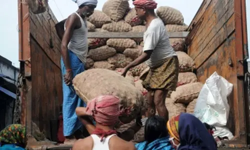 Food inflation for farm and rural labourers stays in negative zone during December