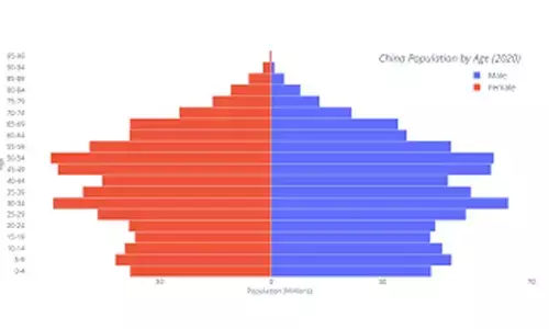 Irreversible decline in Chinese population linked to economy