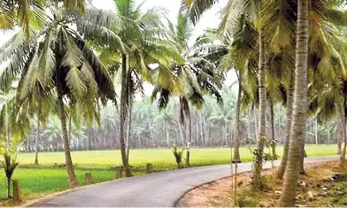 Road woes of Konaseema to end with NH 216E project Road woes of Konaseema to end with NH 216E project