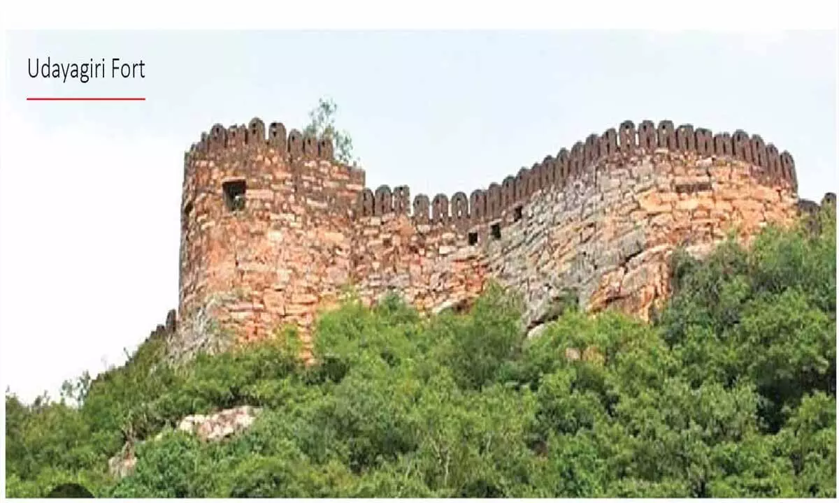 Tiger movements at Udayagiri Fort trigger panic Tiger movements at Udayagiri Fort trigger panic