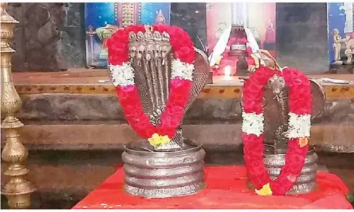 Silver price spike poses new challenge for Srikalahasti temple
