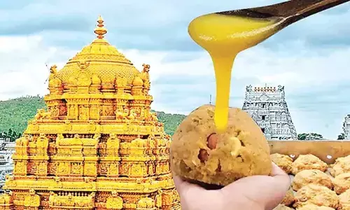 SIT files charge sheet in Tirumala ghee case