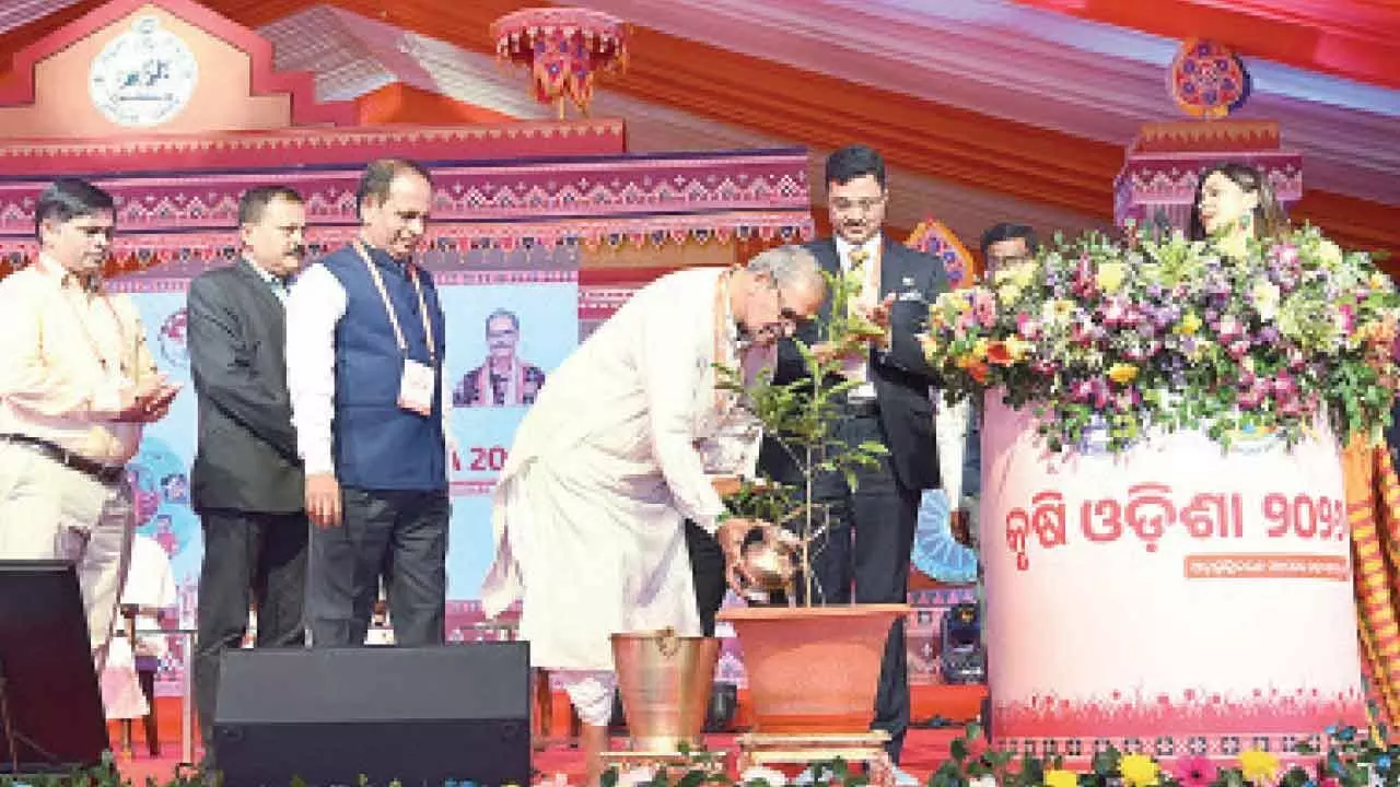 Odisha launches Rs 141.50 cr drought mitigation prog Odisha launches Rs 141.50 cr drought mitigation prog