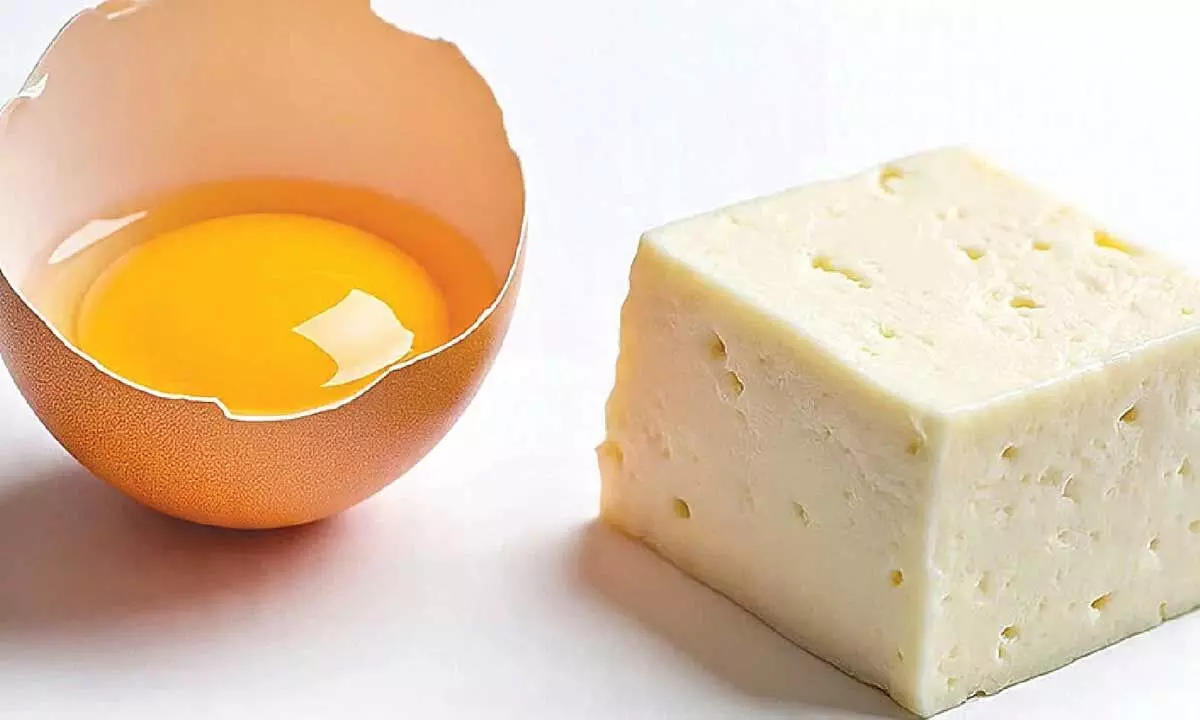 Gym diet debate Gym diet debate