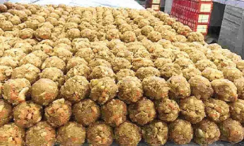 Tirumala Ghee Adulteration Case: SIT completes probe, files final chargesheet