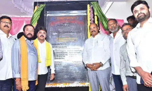 Minister assures to bring down power tariff