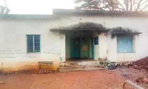 No docs, no meds: District vet hospitals in shambles