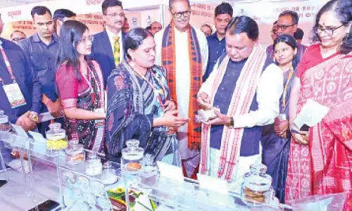 Odisha targets 90 pc irrigation coverage by 2036