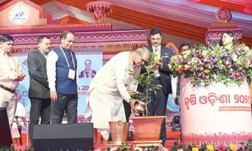 Odisha launches Rs 141.50 cr drought mitigation prog