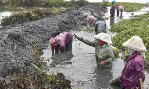 Sudhanshu mounts constitutional challenge to TN Resolution