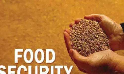 Govt’s new food security rules to focus on quota, eligibility Govt’s new food security rules to focus on quota, eligibility
