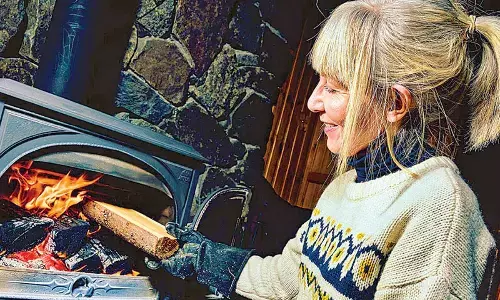 Home wood burning emerges as major winter pollution source: Study