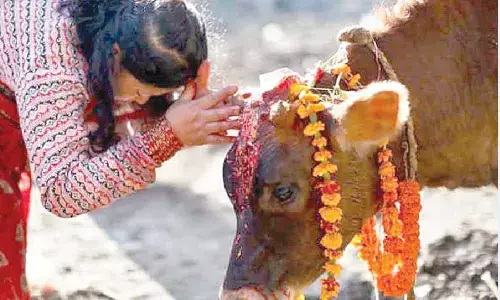 Magha in Bharat: Rituals, rivers, and responsibility Magha in Bharat: Rituals, rivers, and responsibility