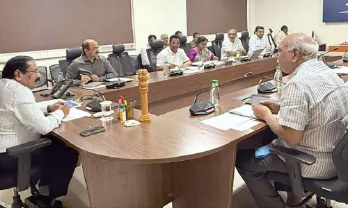 Power lines to be fast-tracked in core capital area