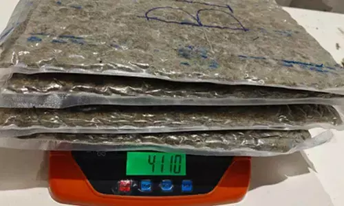 Hybrid marijuana cache seized at Ahmedabad Airport, four arrested