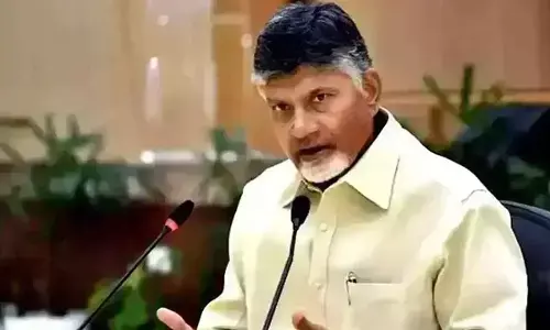 CM Chandrababu briefs TDP MPs ahead of Budget session