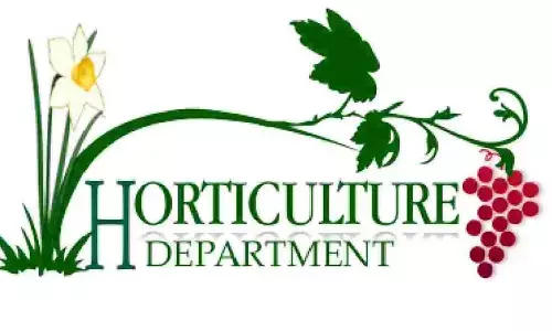 Cocoa Conclave 2026 to be held in Eluru on Jan 30, 31