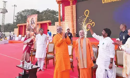 Development without values is fragile: Bhatti Development without values is fragile: Bhatti