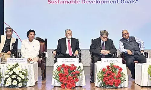 India driving SDG agenda to local realities: Bery