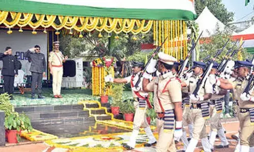 Collector highlights innovative P4 model