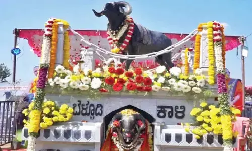 Memorial inaugurated for iconic ram ‘Belludi Kali’, symbol of traditional sport