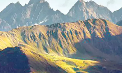 Celebrating curiosity, conservation & spirit of exploration