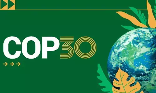 The Cost of Growth: How Brazil’s Agricultural Power Is Eating into Its Forests