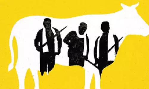 Cow slaughter accused hurt in police encounter