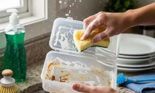 Stubborn Tiffin Stains? Try These 6 Easy Home Remedies to Make It Look New Again Stubborn Tiffin Stains? Try These 6 Easy Home Remedies to Make It Look New Again