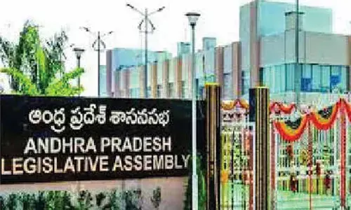 AP Assembly budget session from Feb 11