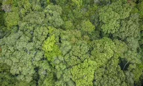 National Biodiversity Authority shares Rs 17 lakh benefit with BMC