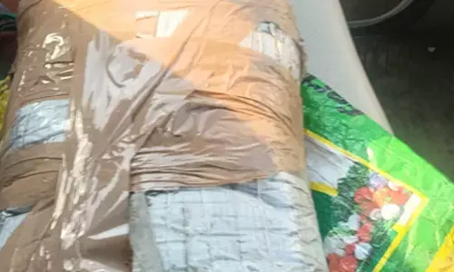 Punjab Police arrest two operatives of terror module in Himachal blast case Punjab Police arrest two operatives of terror module in Himachal blast case