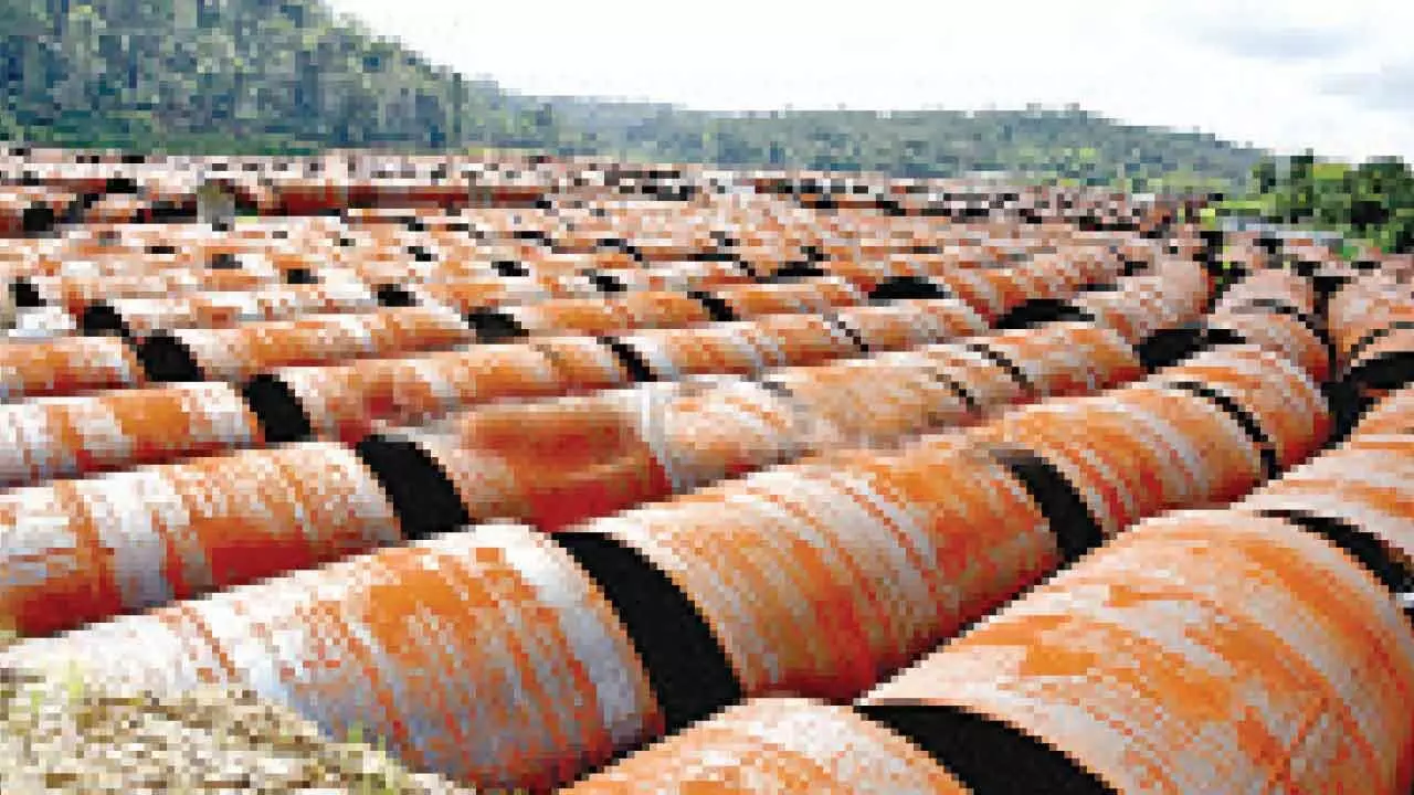 CAG flags delays, tendering, financial management flaws CAG flags delays, tendering, financial management flaws