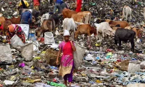 The pyramid of privilege: Casting a shadow on the corridors of power