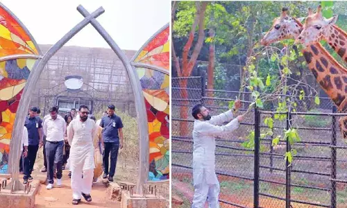 Corporate entities should extend support to wildlife conservation