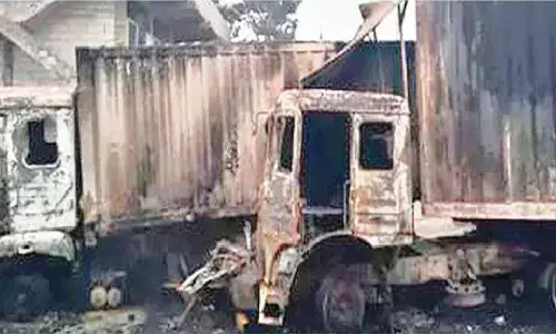 One burnt alive in road mishap