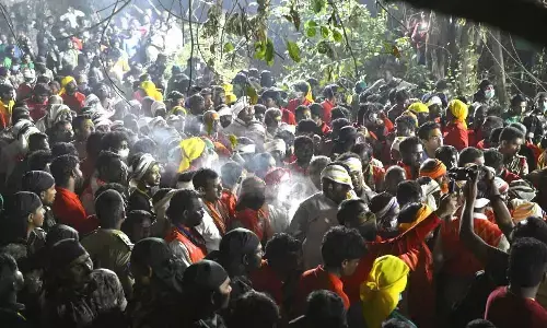 Medaram Forest Goddesses Arrive, Devotees Flock to Darshan