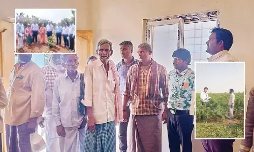 Low adoption of drip irrigation in Nandyal alarms scientists Low adoption of drip irrigation in Nandyal alarms scientists