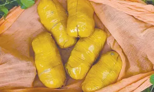 Punjab cops foil cross-border smuggling, 2 kg heroin seized