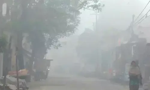 Severe cold, dense fog persist in Rajasthan