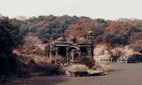 Rajasthan: Mobile phones banned during Ranthambore Safari under SC guidelines