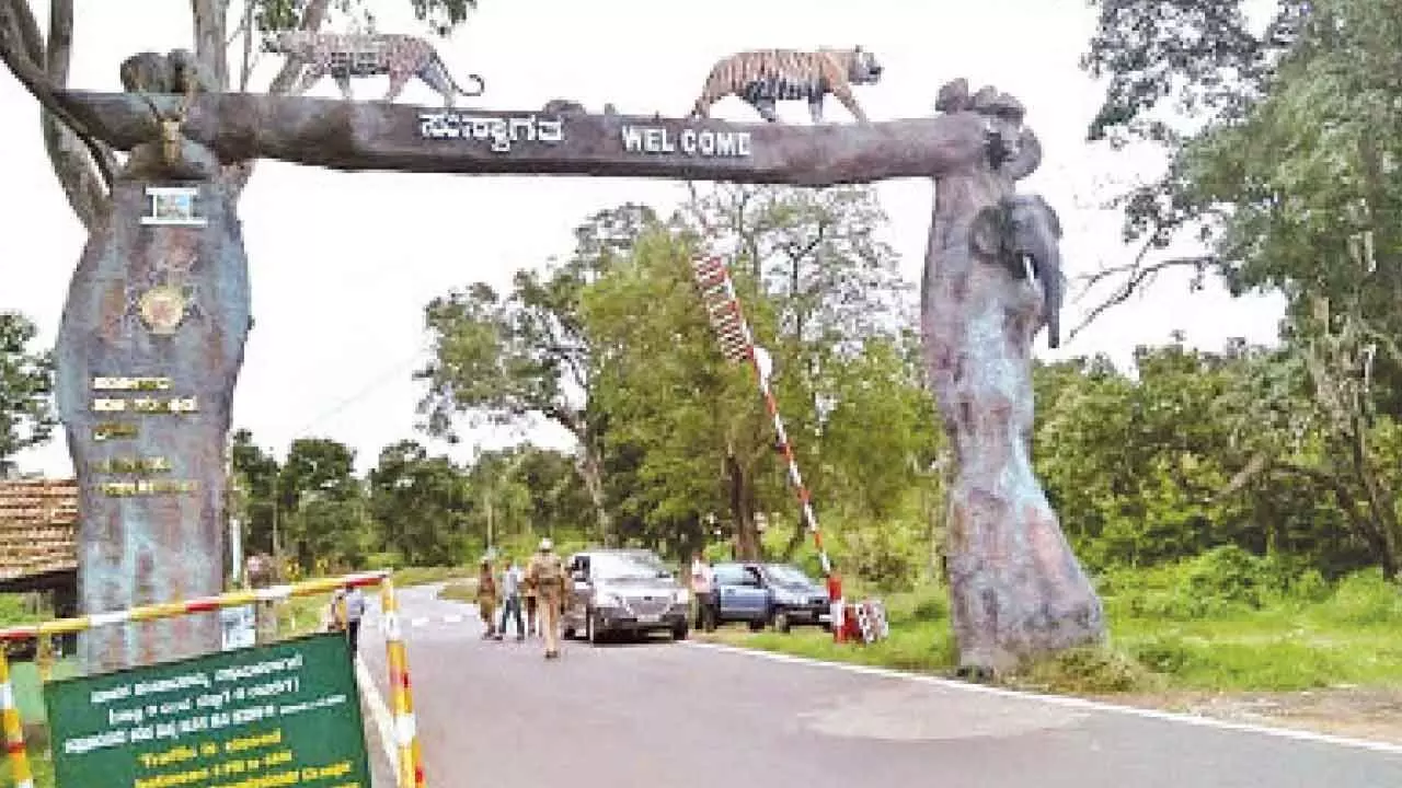 Bandipur tunnel proposal rekindles debate on conservation versus connectivity Bandipur tunnel proposal rekindles debate on conservation versus connectivity