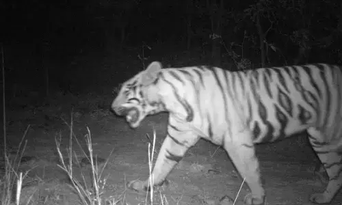 Representational Image Representational Image