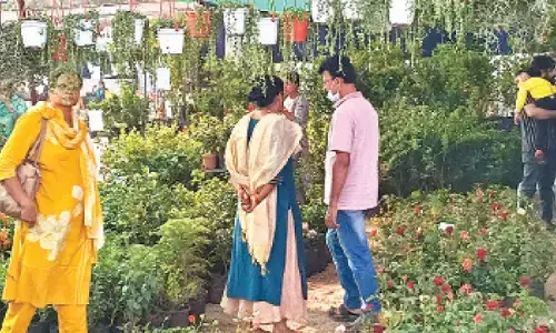 Hyderabadis going back to their roots: terrace dreams take centre stage at Nursery Mela Hyderabadis going back to their roots: terrace dreams take centre stage at Nursery Mela