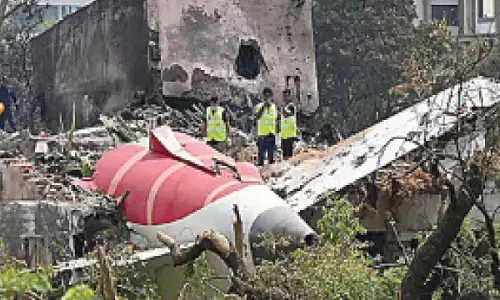 AI crash probe blames pilot AI crash probe blames pilot