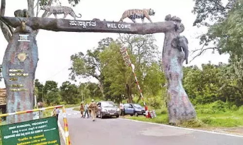 Bandipur tunnel proposal rekindles debate on conservation versus connectivity Bandipur tunnel proposal rekindles debate on conservation versus connectivity
